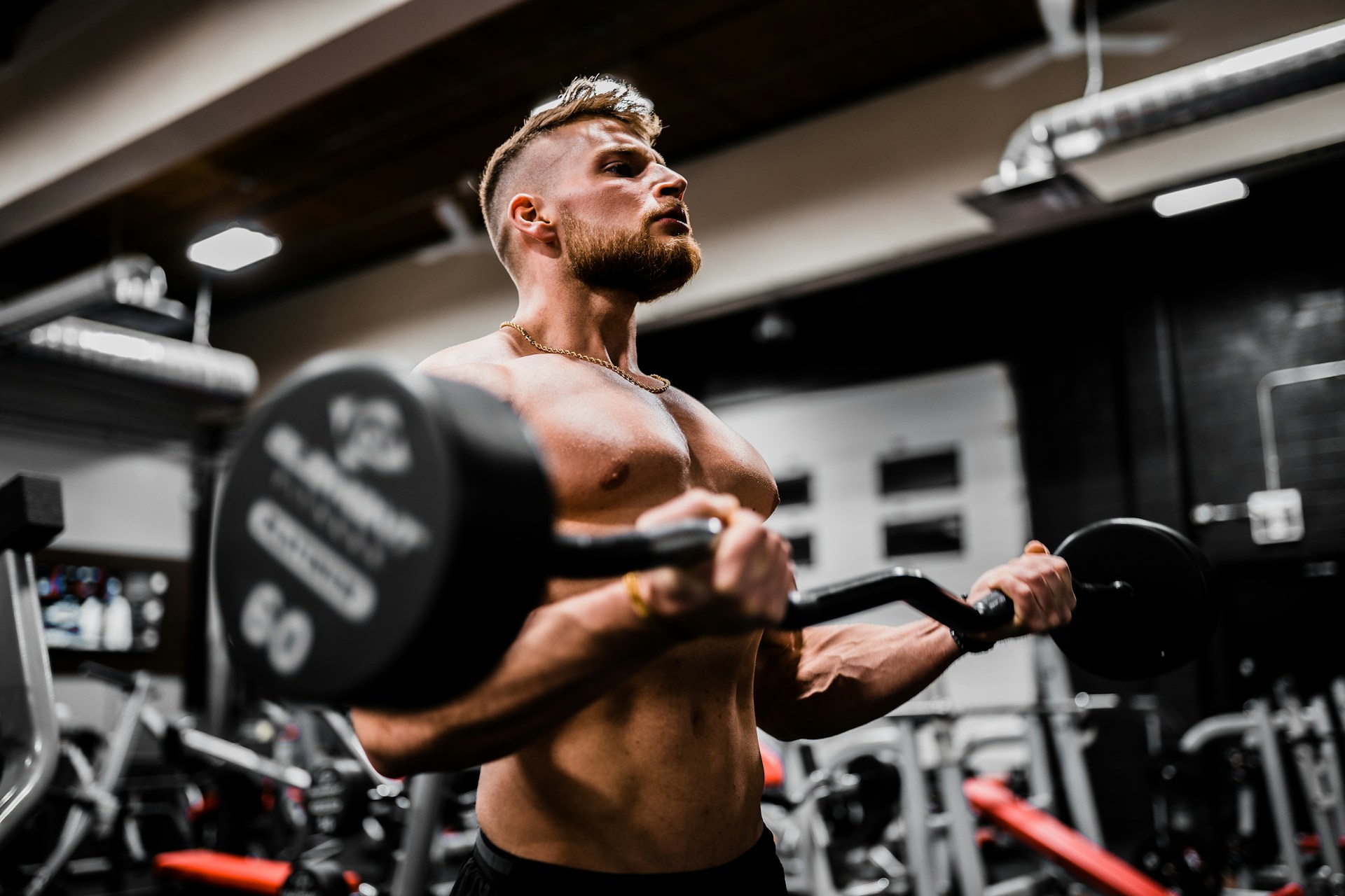 Bro Split Training